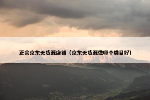 正宗京东无货源店铺（京东无货源做哪个类目好）