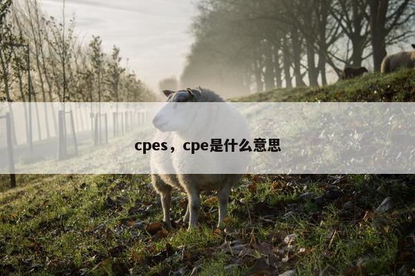 cpes，cpe是什么意思