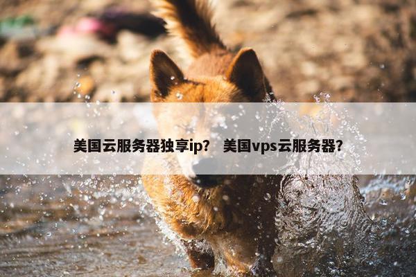 美国云服务器独享ip？ 美国vps云服务器？