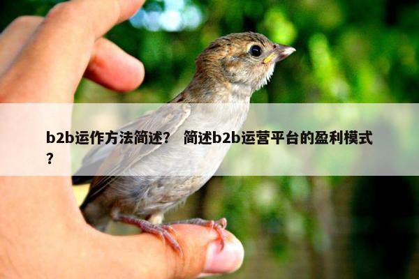 b2b运作方法简述？ 简述b2b运营平台的盈利模式？