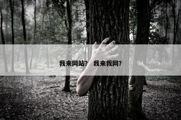 我来网站？ 我来我网？