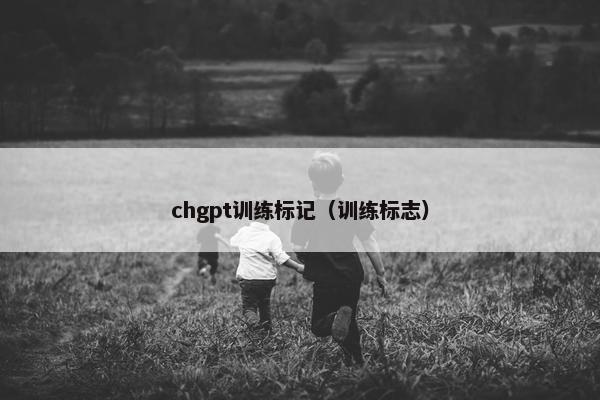 chgpt训练标记（训练标志）