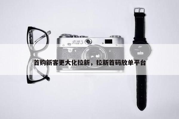 首购新客更大化拉新，拉新首码放单平台
