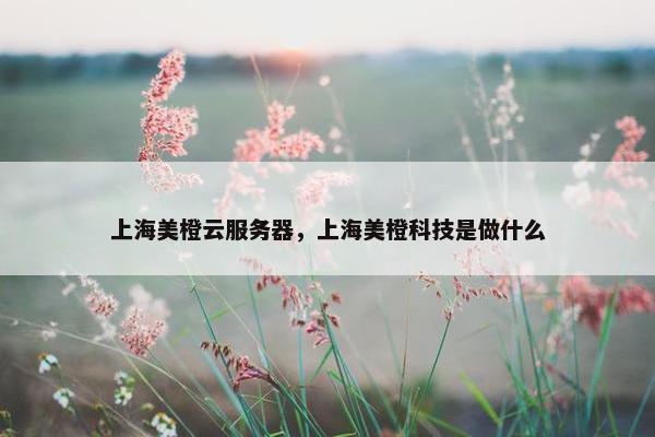 上海美橙云服务器，上海美橙科技是做什么