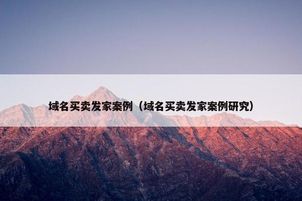域名买卖发家案例（域名买卖发家案例研究）