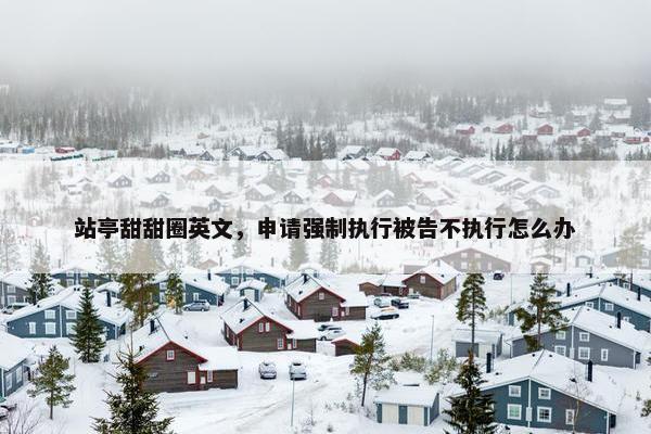 站亭甜甜圈英文，申请强制执行被告不执行怎么办