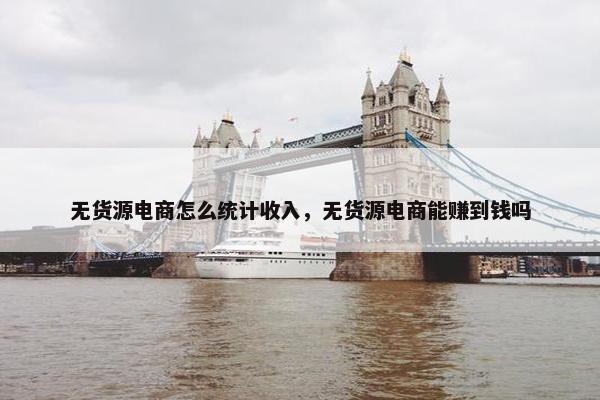 无货源电商怎么统计收入，无货源电商能赚到钱吗