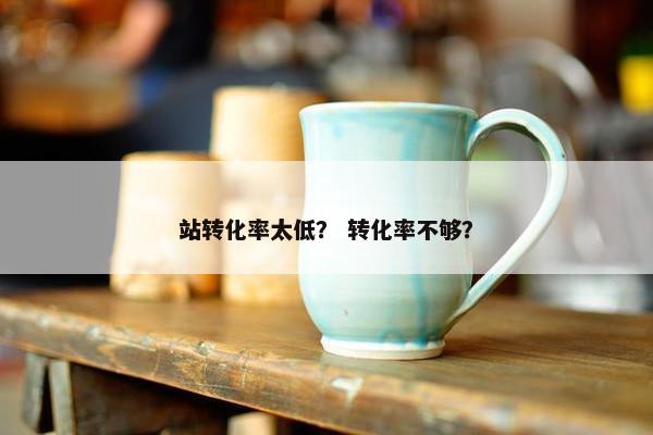 站转化率太低？ 转化率不够？