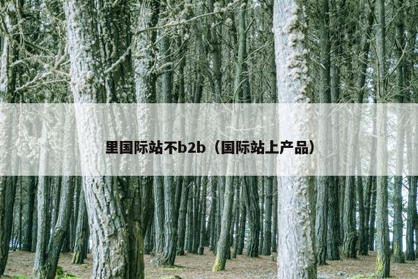 里国际站不b2b（国际站上产品）