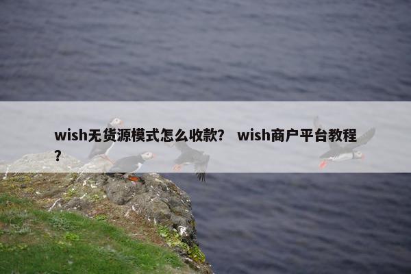 wish无货源模式怎么收款？ wish商户平台教程？