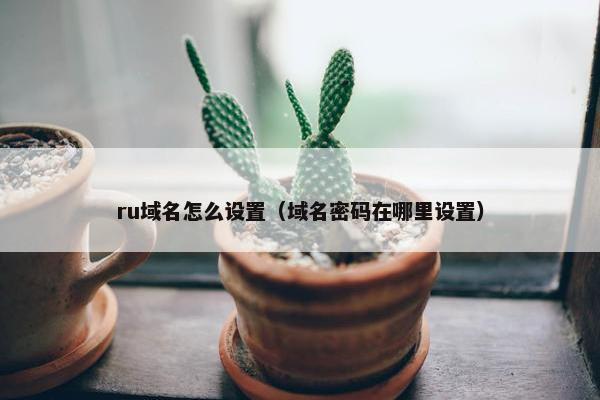 ru域名怎么设置（域名密码在哪里设置）