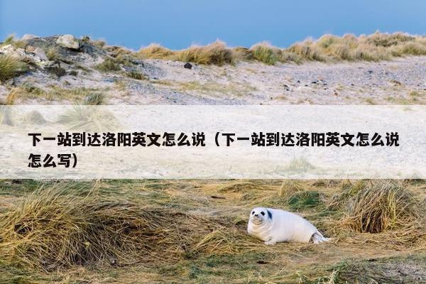 下一站到达洛阳英文怎么说（下一站到达洛阳英文怎么说怎么写）