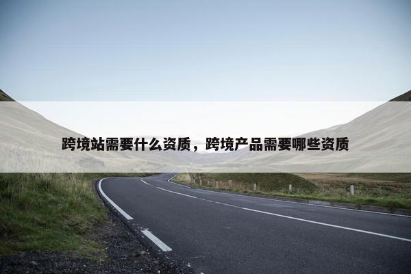 跨境站需要什么资质，跨境产品需要哪些资质