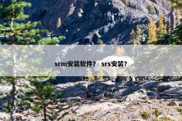srm安装软件？ srs安装？