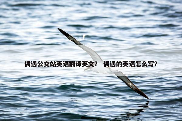 偶遇公交站英语翻译英文？ 偶遇的英语怎么写？