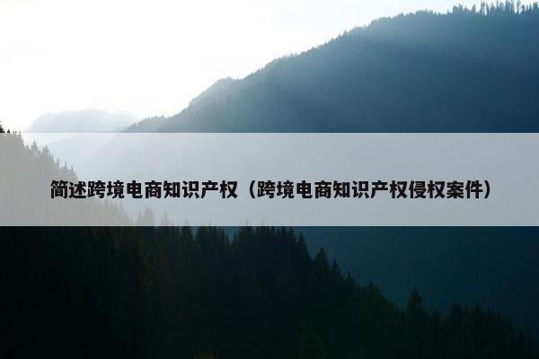 简述跨境电商知识产权（跨境电商知识产权侵权案件）