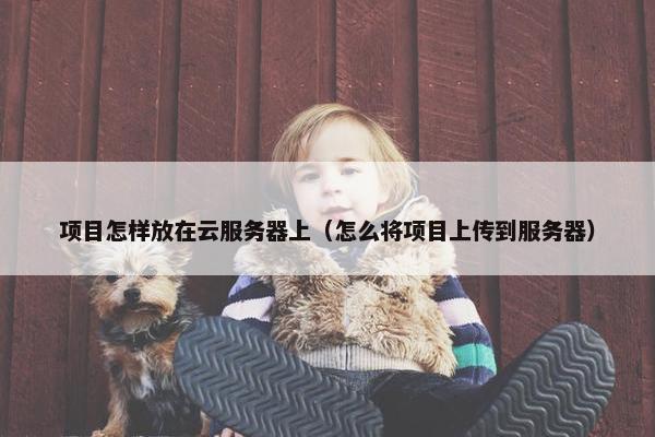 项目怎样放在云服务器上（怎么将项目上传到服务器）