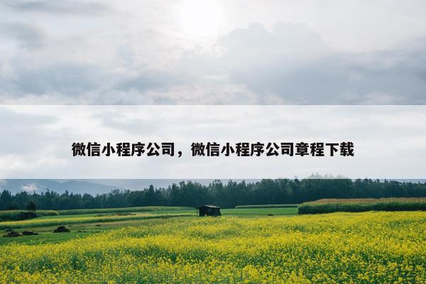 微信小程序公司，微信小程序公司章程下载