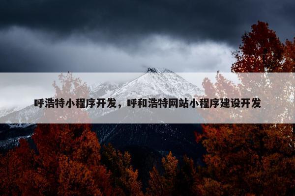 呼浩特小程序开发，呼和浩特网站小程序建设开发