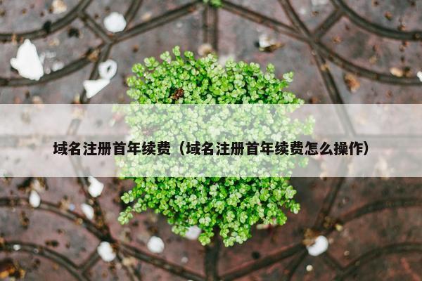 域名注册首年续费（域名注册首年续费怎么操作）