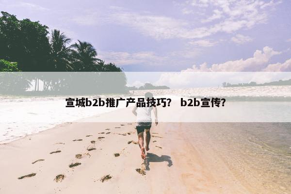 宣城b2b推广产品技巧？ b2b宣传？