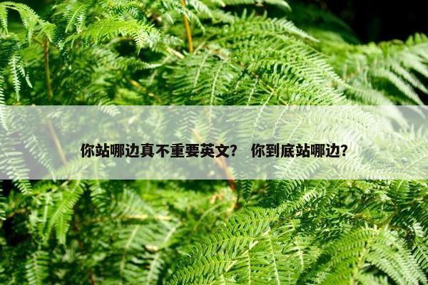 你站哪边真不重要英文？ 你到底站哪边？
