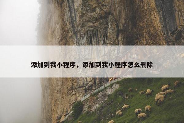 添加到我小程序，添加到我小程序怎么删除