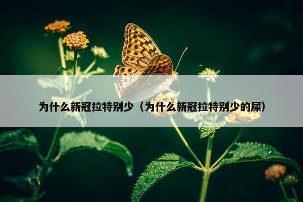 为什么新冠拉特别少（为什么新冠拉特别少的屎）