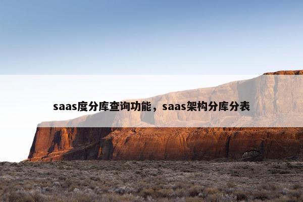 saas度分库查询功能，saas架构分库分表