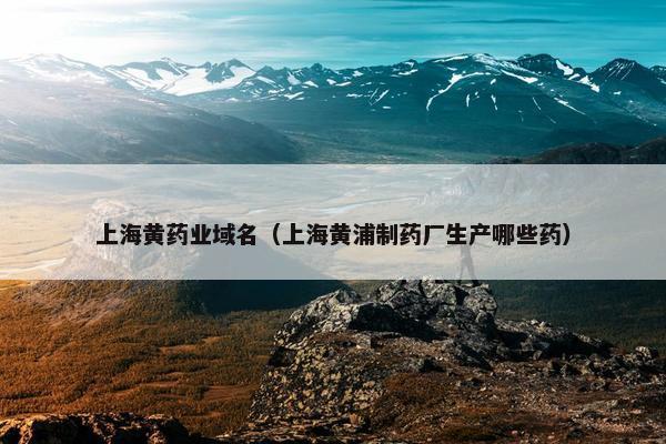 上海黄药业域名（上海黄浦制药厂生产哪些药）