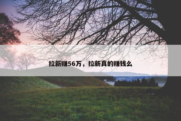 拉新赚56万，拉新真的赚钱么