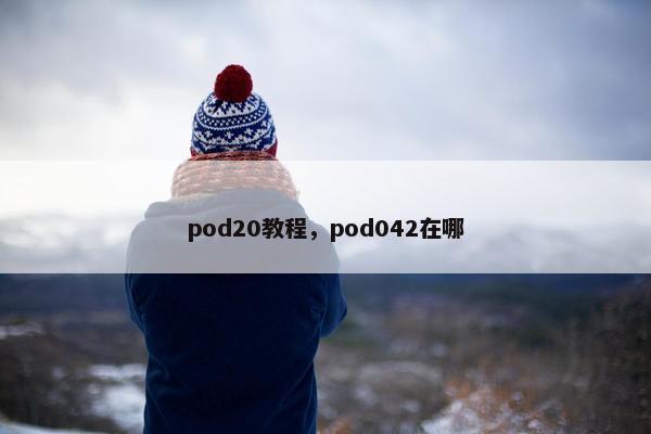 pod20教程，pod042在哪
