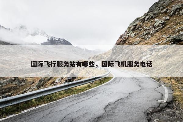 国际飞行服务站有哪些，国际飞机服务电话