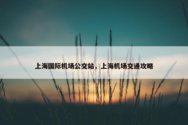 上海国际机场公交站，上海机场交通攻略