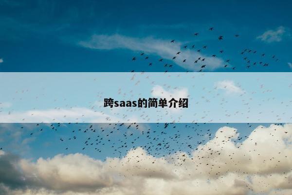 跨saas的简单介绍