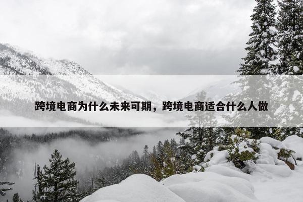 跨境电商为什么未来可期，跨境电商适合什么人做
