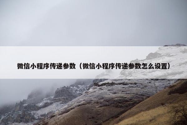 微信小程序传递参数（微信小程序传递参数怎么设置）