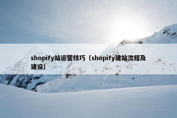 shopify站运营技巧（shopify建站流程及建设）