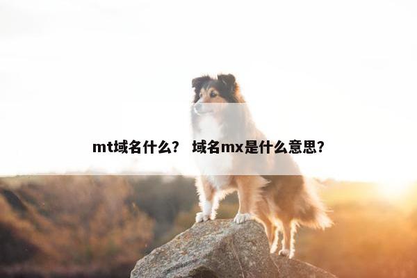 mt域名什么？ 域名mx是什么意思？