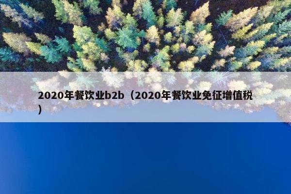 2020年餐饮业b2b（2020年餐饮业免征增值税）