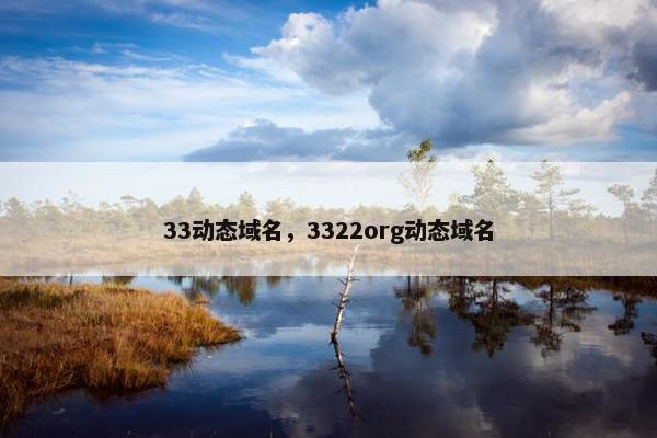 33动态域名，3322org动态域名