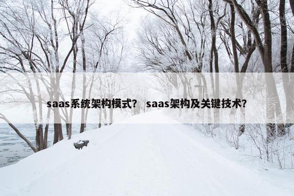 saas系统架构模式？ saas架构及关键技术？
