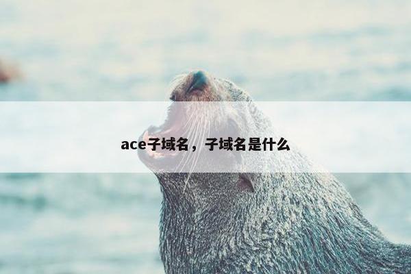 ace子域名，子域名是什么