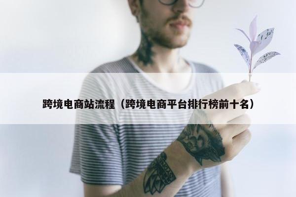 跨境电商站流程（跨境电商平台排行榜前十名）