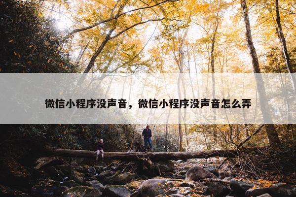 微信小程序没声音，微信小程序没声音怎么弄