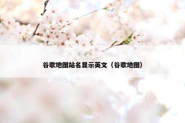 谷歌地图站名显示英文（谷歌地图）
