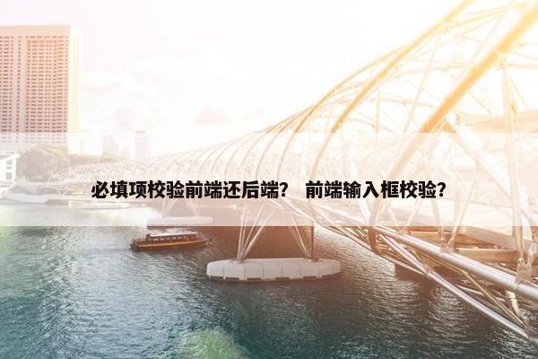 必填项校验前端还后端？ 前端输入框校验？