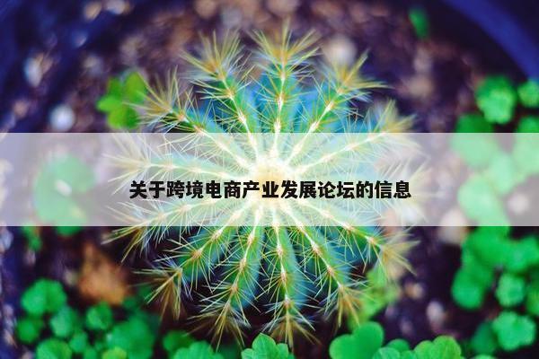 关于跨境电商产业发展论坛的信息