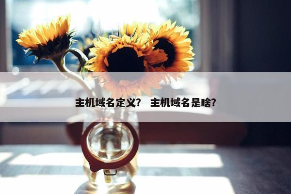 主机域名定义？ 主机域名是啥？