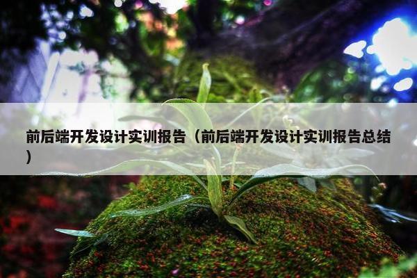 前后端开发设计实训报告（前后端开发设计实训报告总结）
